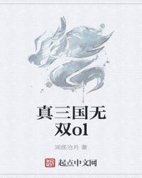 真三国无双ol龙枪是谁用的